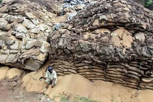अनाज के अंबार, फिर भी भुखमरी का कलंक