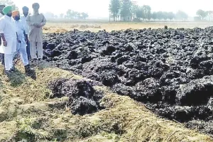 पराली की गठड़ियों को लगी आग, लाखों का नुक्सान