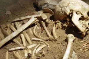 श्रीलंका में एक कब्र से निकले 230 कंकाल