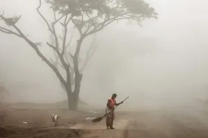 शिवपुरी में कड़ाके की ठंड के चलते फसलों पर जमी ओस की बूंदें