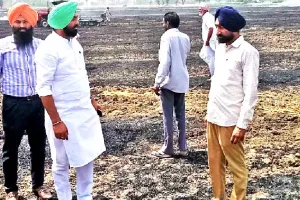 गांव भगवानपुरा के किसानों की 46 एकड़ गेहूं व अवशेष जलकर राख