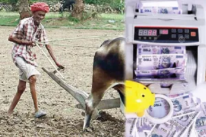 किसानों को चना एवं सरसों का 194 करोड़ का भुगतान
