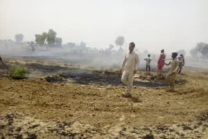 17 बीघा खड़ी गेंहू आगजनी की लपेट में बनी राख