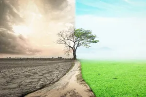 आपदा प्रबंधन में कमी व पर्यावरण प्रदूषण बन रहे महामारी