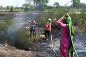खेतों में लगी आग से 45 एकड़ फाने जलकर राख