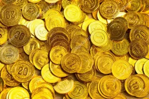 खुदाई कार्य में चांदी के सिक्के मिलने से फैली सनसनी
