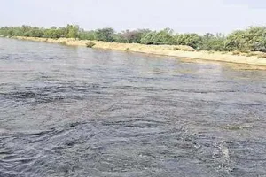 पंजाब और राजस्थान नहरों में प्रदूषित पानी के खिलाफ साझा रणनीति