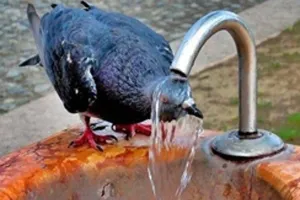 आसमान से बरसे अंगारे, पैरों तले सुलगती रही धरा