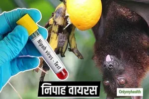 निपाह वायरस, छह लोगों के नमूने नगेटिव