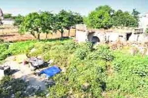 बरसाती मौसम : धरा को मिलेगी 1.50 लाख पौधों की सौगात