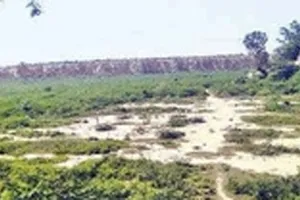 बडखल झील फिर होगी गुलजार