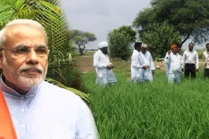 कैबिनेट बैठक: किसानों को मोदी सरकार का तोहफा; धान समेत कई फसलों की बढ़ी एमएसपी