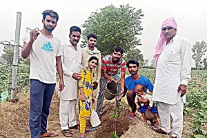 डेरा सच्चा सौदा ने पर्यावरण सुरक्षा का उठाया है बीड़ा