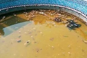 पार्क में फैली गदंगी, कैसे करें सैर?