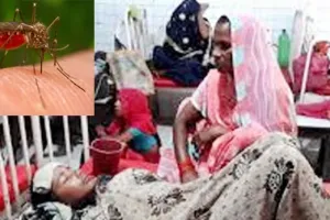 असम में जापानी इन्सेफलाइटिस का कहर, 50 लोगों की मौत