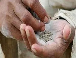 युवाओं सावधान! तंबाकू चबाने का शौक कहीं छीन न ले जिन्दगी