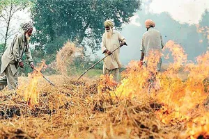 पराली मामला: किसानों को बदलना होगा तरीका
