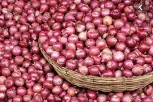 वक्त की मांग है समुचित कृषि नीति – Sustainable Agricultural Policy