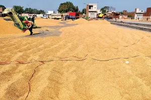 धान खरीद: मंडियों में नहीं पुख्ता प्रबंध, किसान परेशान