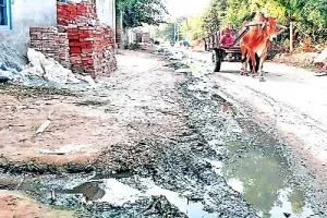बठिंडा : नरक भरी जिंदगी जीने के लिए मजबूर पक्का कलां के निवासी