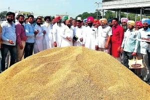 फिरोजपुर : विधायक ने शुरू करवाई धान की सरकारी खरीद