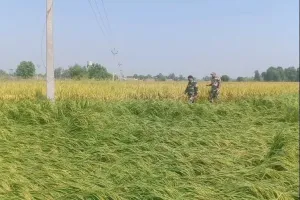 फिरोजपुर : हुसैनीवाला बॉर्डर पर दिखा पाकिस्तानी ड्रोन, सर्च आप्रेशन जारी