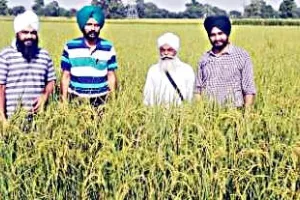 ‘फसलों के वेस्टेज को आग लगाने की बजाय खेतों में मिलाएं’