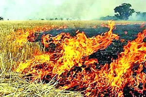संगरूर : 43 किसानों पर एफआईआर, 26 लाख जुर्माना