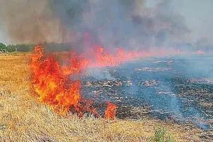 पराली जलाने वाले किसानों पर होगी कड़ी कानूनी कार्रवाई : डीएसपी
