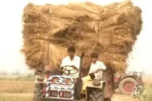 हरियाणा सरकार किसान की पराली खरीदेगी: उप मुख्यमंत्री