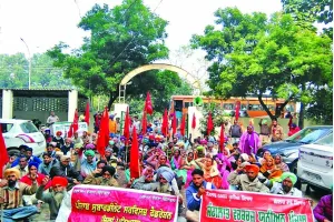 पटियाला : वेतन न मिलने पर भड़के वन कर्मचारियों ने घेरा कार्यालय