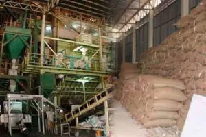 राइस मिलर फिजीकल वैरीफिकेशन : 81 करोड़ की गड़बड़ी का खुलासा