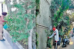 लुधियाना : पौधों की संभाल को डेरा श्रद्धालुओं ने बनाया अपनी जिंदगी का अहम अंग