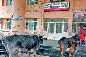 बठिंडा के सरकारी अस्पताल में नहीं है डॉक्टर