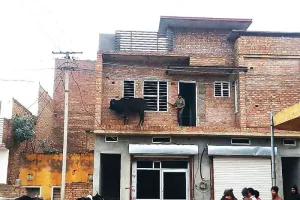 गोधा चढ़ा चौबारे पर, लोगों का लगा हजूम