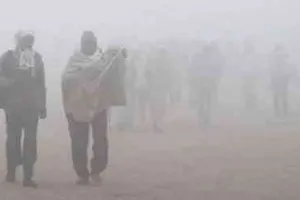 हिसार, नारनौल ,अमृतसर ,हलवारा ठिठुरे ,शीतलहर का प्रकोप जारी
