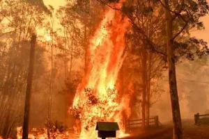 Australia fire : बारिश से बुझेगी ऑस्‍ट्रेलिया के जंगलों में लगी आग