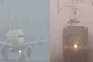 कोहरे के कहर से हवाई, रेल और सड़क सेवा बुरी तरह प्रभावित