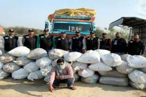 हरियाणा पुलिस की एसटीएफ ने केंटर में पकड़ी एक टन गांजापत्ती