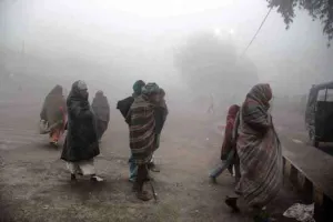 घने कोहरे से सड़क यातायात प्रभावित