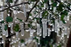 Temperature drop: जयपुर के रेनवाल में पारा पहुंचा माइनस डेढ़ डिग्री
