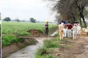 मेहता माइनर में आई दरार, 100 एकड़ गेहूँ की फसल में भरा पानी
