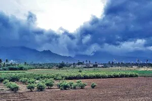 कोरोना आपदा में अच्छे मानसून की खबर