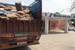 हरियाणा की मंडियों में बिक रही राजस्थान की सरसों