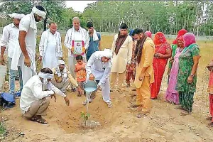 डेरा अनुयायी परम्पराओं को पर्यावरण  संरक्षण से जोड़कर दे रहे हरियाली की सौगात
