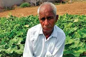 टीवी चैनल देखकर पैदा हुई आॅर्गेनिक खेती के प्रति दिलचस्पी