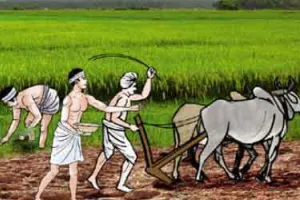 कृषि नीतियों में सुधार की आवश्यकता