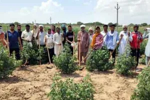 डेरा अनुयायियों ने की कोलायत दरबार में सेवा