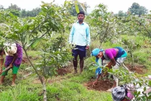 नरेगा से मिला खेतों में रोजगार और बढ़ेगी हरियाली