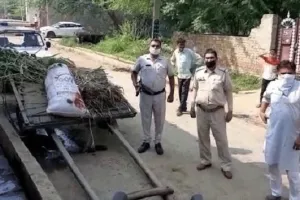 खेत से चारा लेकर लौट रहे युवक की गोली मारकर हत्या